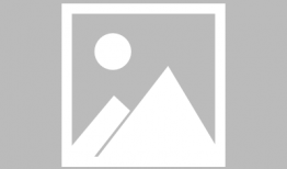 罗小黑漫画,奇幻世界的守护者传奇